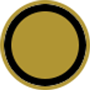 capture icon
